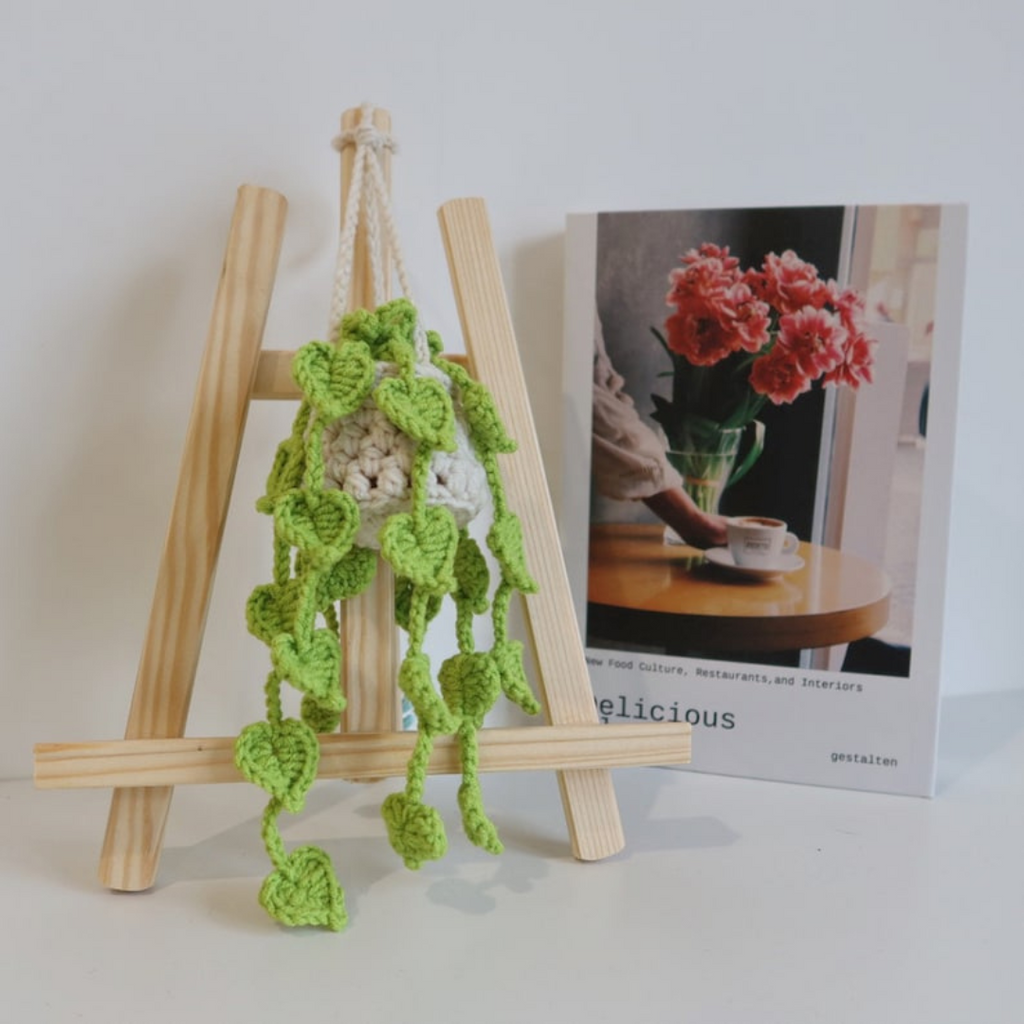 Hanging Plant Crochet Pattern